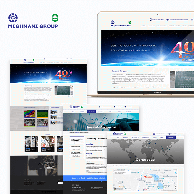 Meghmani Group - Website Development